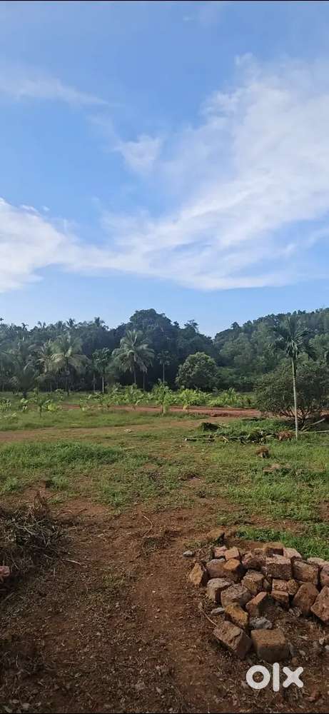 17 cent Housing Plot For sale at Neruvambram Payagadi