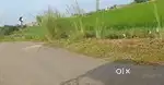 Prime 2025 sq.ft. Plot  Belwatar, Suryapura, Bodh Gaya