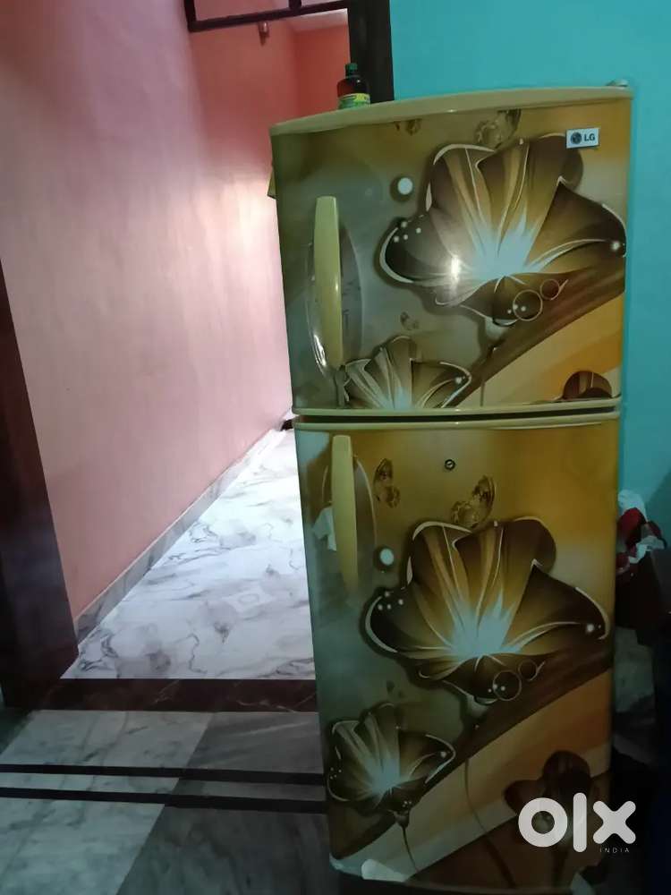 Lg Double door fridge