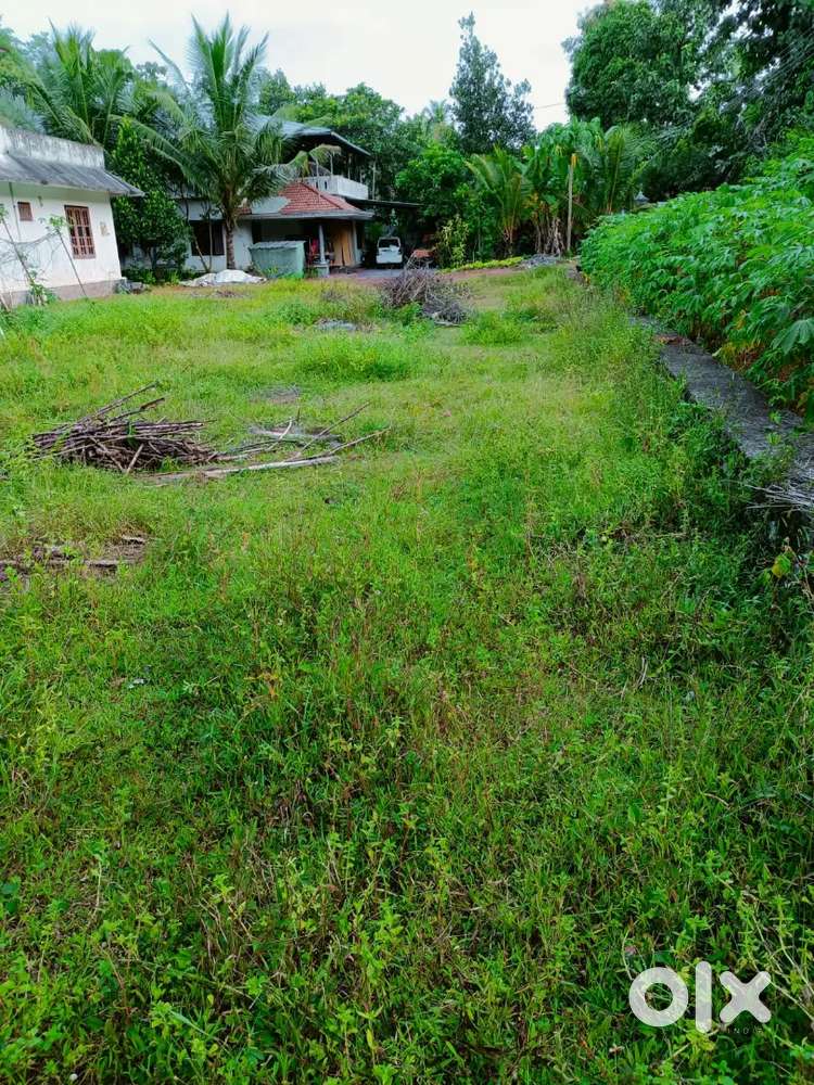 Land for sale kannanakuzhy