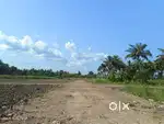 PLOT available near Joka metro & amtalla area
