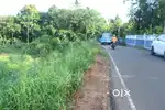 House plot 67 cent near Ettumanoor-Athirampuzha 2.70 lakh/cent