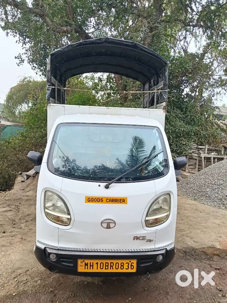 Full kundishan tempo