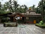 Fully Furnished 4BHK House With 41cent land in  Peaceful Location