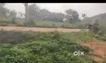Agricultural Land for Sale!  - Location: Kanakapura - 31 gunta land