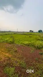 Plots available near bhilai 3 umda charoda