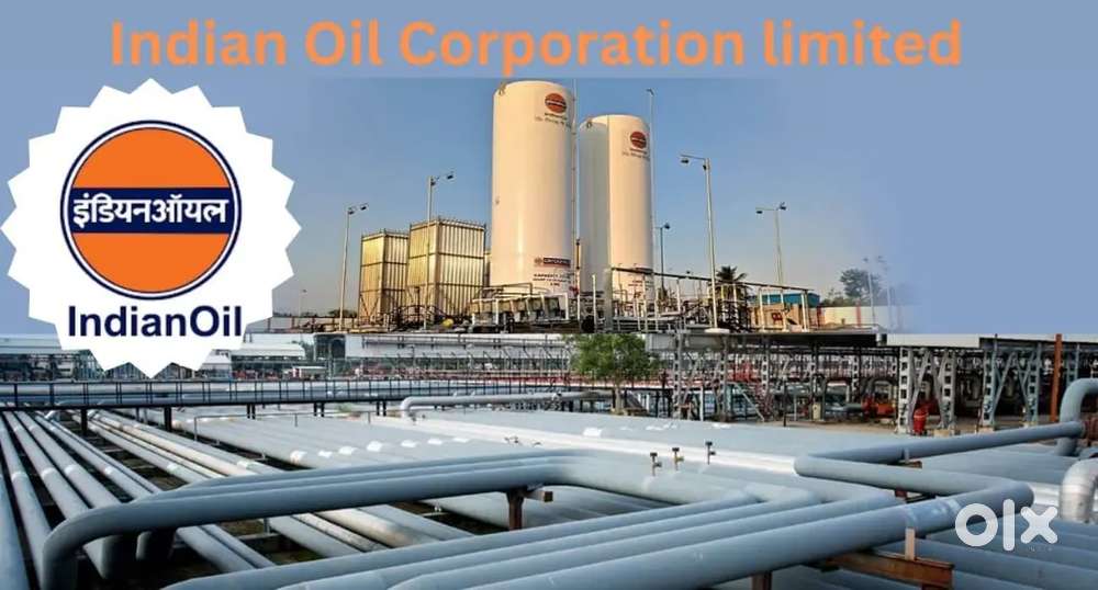 URGENT RECRUITMENT IN INDIAN OIL MALE AND FEMALE BOTH CONTACT NOW