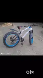 Fire catcher (fad bike)