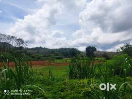 3-Acre Farm/Resort Property in Valad Wayanad