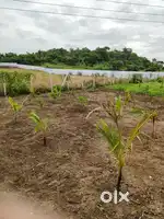 Farm land for sale 2.15 acre land
