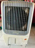 Zenith 15 Liter Cooler