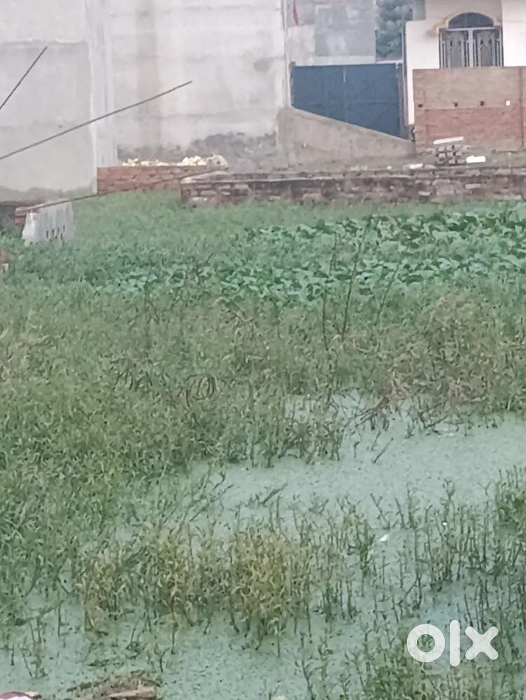 Land for sale in zakariya colony