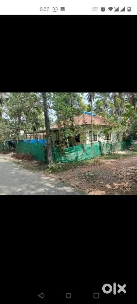 19 cent plot with house, 1.5 km from nh66