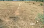 Land near new bus stand