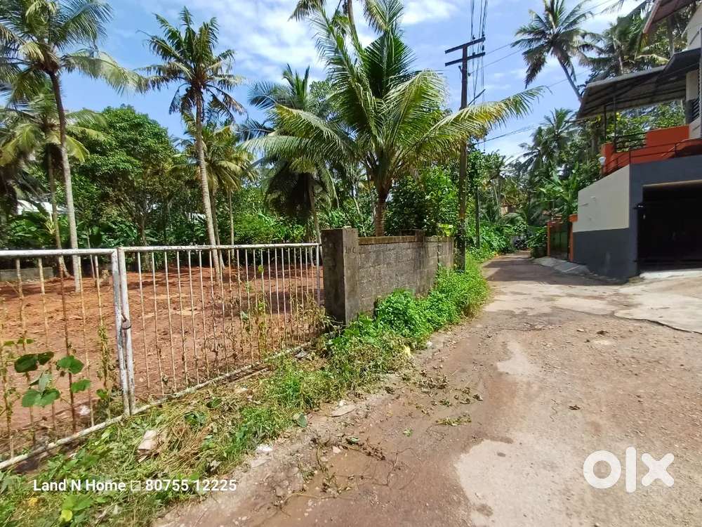 Peroorkada Vazhayila Area 9 Cent Residencial Land For Sale..