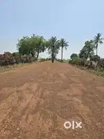 Devloped Farm land Near by city Raipur