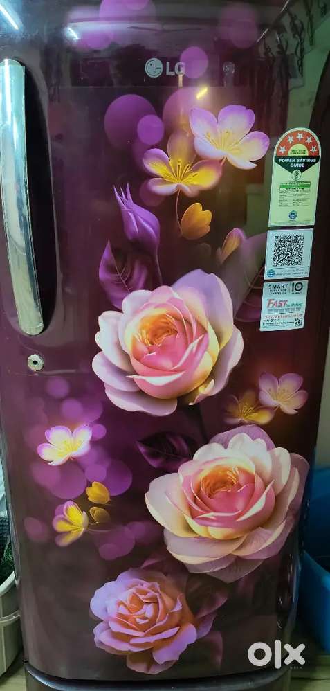 LG 185L 5-Star Fridge  5 Months Old  Like New  Urgent Sale