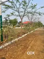 NMRDA PLOTS FOR SALE