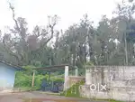 19 ACKRS AROBAC COFFEE ESTATE FOR SALE