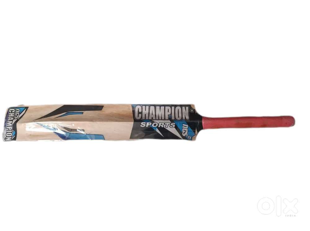 Cricket Bat full size