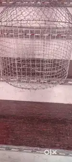 Birds cage