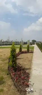 Ruchi town