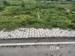 United college se 3 km ander plot ligiye 17 lakh me road se lgi hui