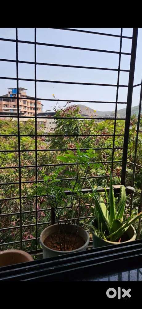 1BHK flat on Sale - Anayah Height