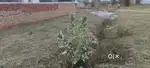 Bhumi sales