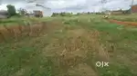 Plot for Warehouse