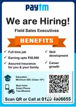 FIELD SERVICE EXECUTIVE