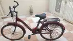 Avon Lady Oma Bicycle
