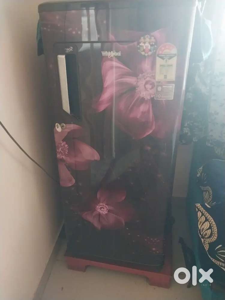 Single door fridge in good condition