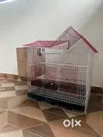 birds cage with bread box