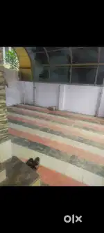 2bhk ground floor near kins other houses near lulu, anayara,gg,cosmo