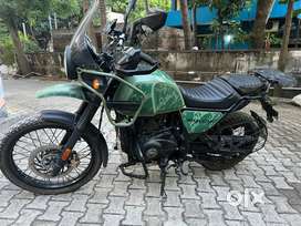 Himalayan 2021 variant - Pine Green