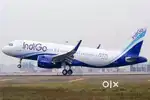 Cabin Crew/ Airport Ground Staff Jobs in Indigo limited vecancy