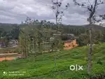 Prime 3-Acre Plot for Sale in Kottoor, Vaduvanchal, Wayanad