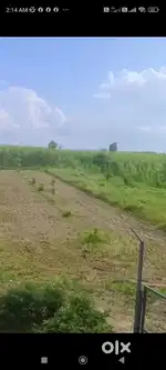108-Acre Agriculture Land with High-Value Timber Plantation