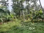 10 cents land for sale