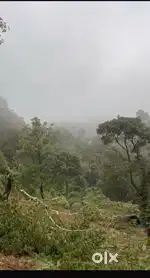 1.7 acre land for Resorts and farm’s in Kakkdampoil, Kozhikode