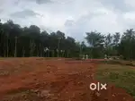 Thirumarady 100 mtr from busrout 10 cent houseplot tar rod face