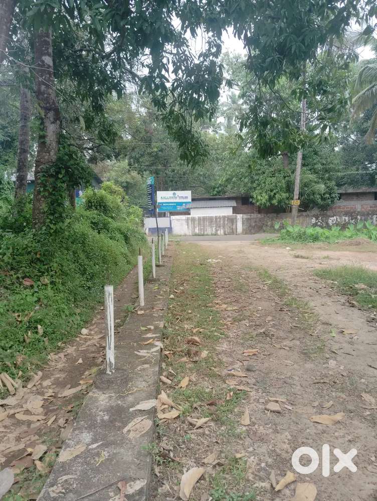 Need a Chicken Stall Staff