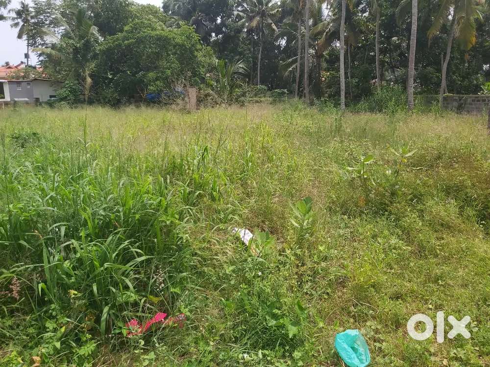 4 cents land for sale