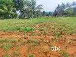 South East Corner Site For Sale Near Cermel School
