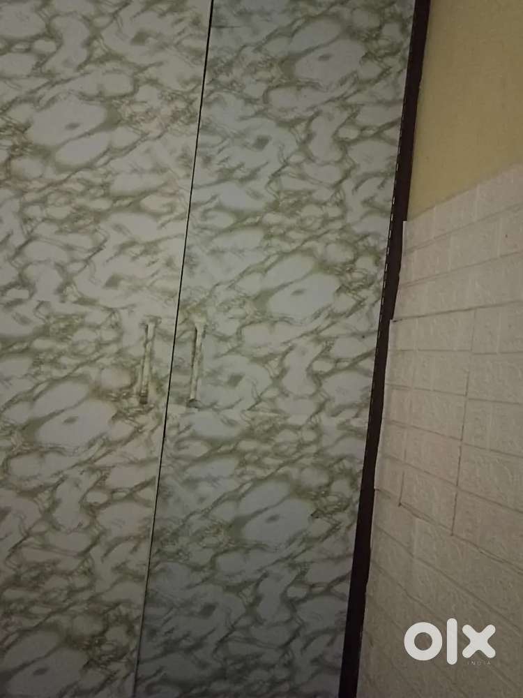 Female flatmate required