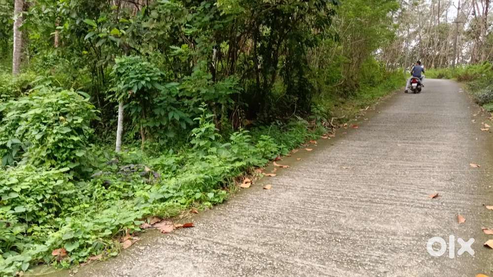 1 ഏക്കർ റബ്ബർ പുരയിടം വില്പനക്ക്.