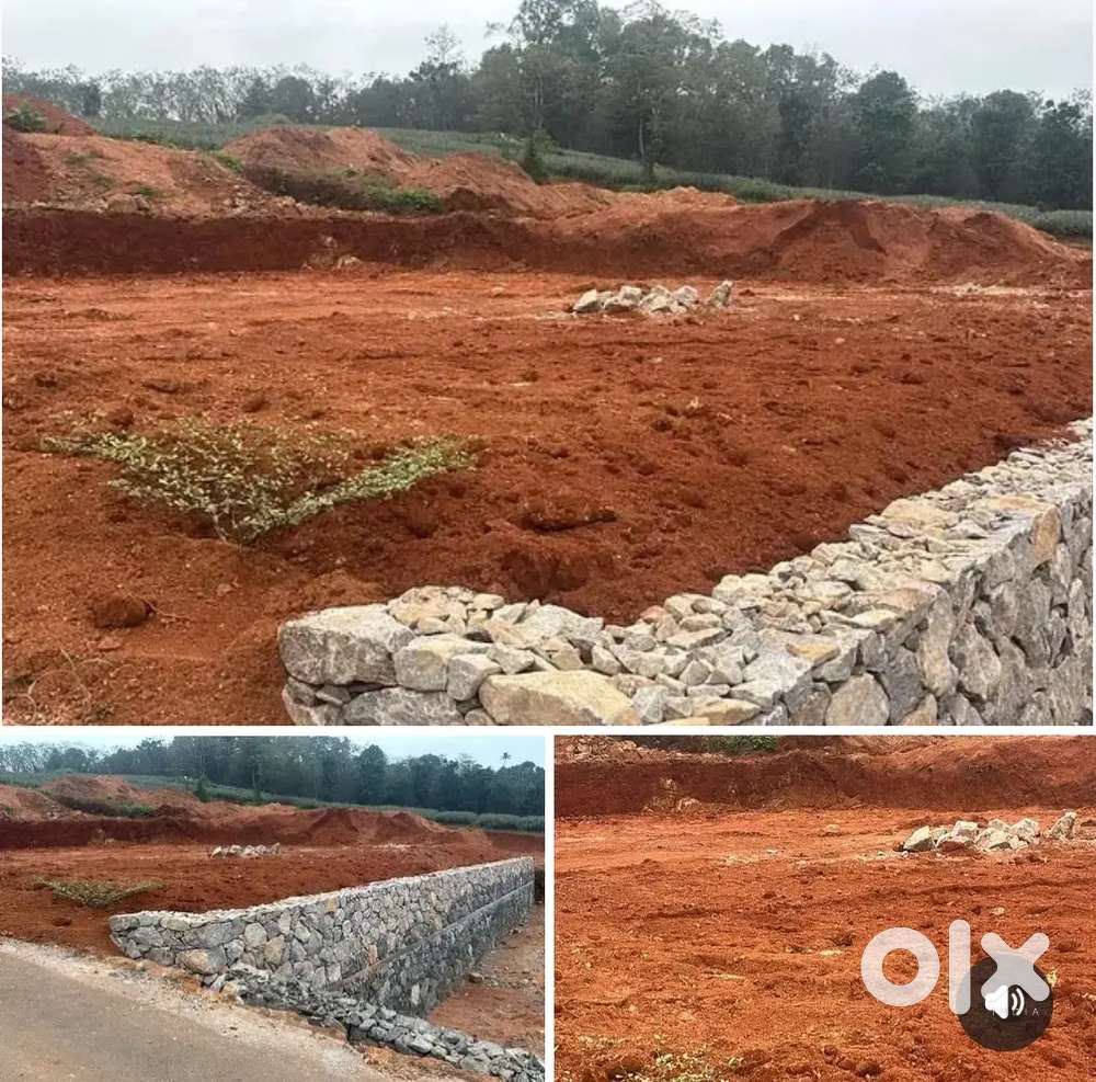 തൊടുപുഴ -കരിങ്കുന്നം റൂട്ടിൽ ഹൗസ് plot കൾ വിൽപ്പനയ്ക്ക്