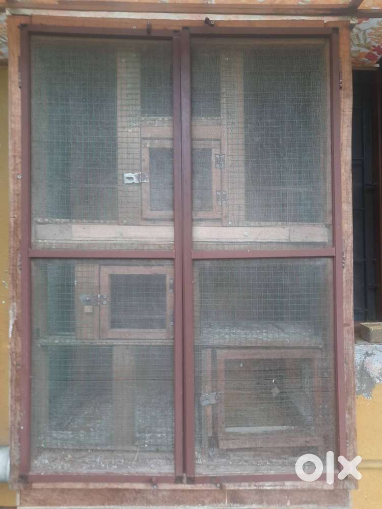 Birds-Cage