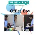 Office Boy